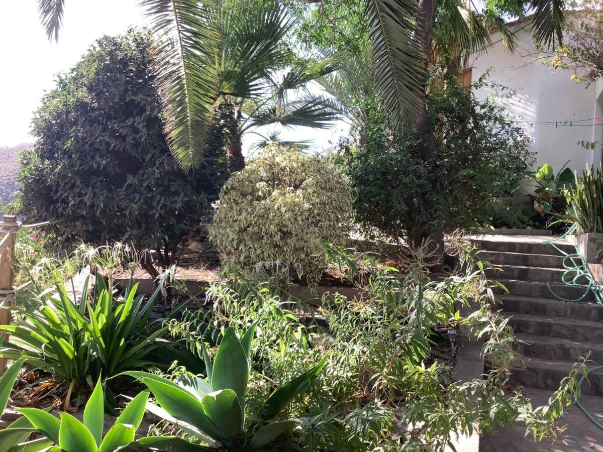 AlbunolCortijo De La Fuente公寓 外观 照片