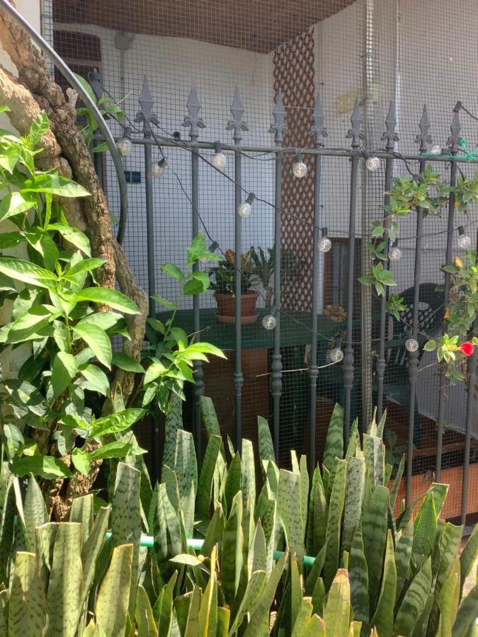 AlbunolCortijo De La Fuente公寓 外观 照片